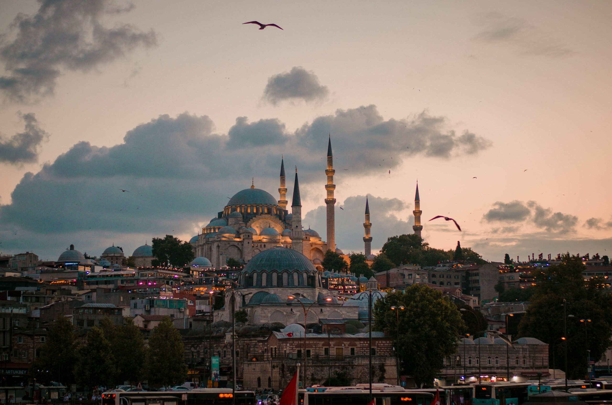 Captivating cityscape of Istanbul featuring a mosque and minarets at sunset with birds flying.